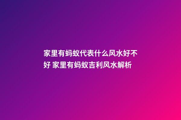 家里有蚂蚁代表什么风水好不好 家里有蚂蚁吉利风水解析
